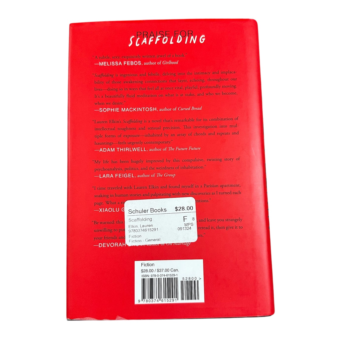 Scaffolding by Lauren Elkin (USED)