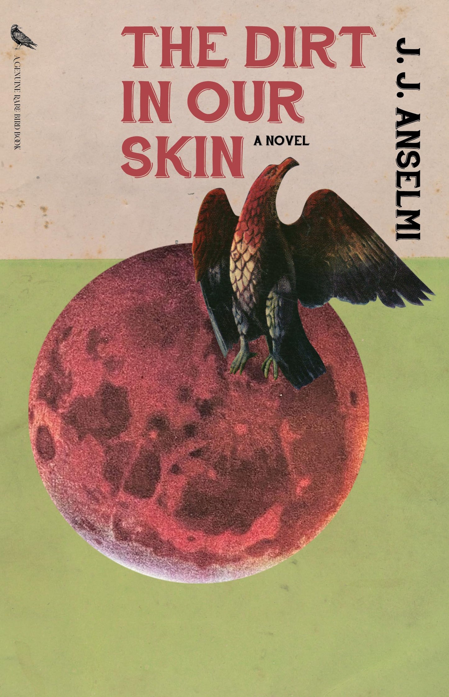 The Dirt in Our Skin by J. J. Anselmi PB