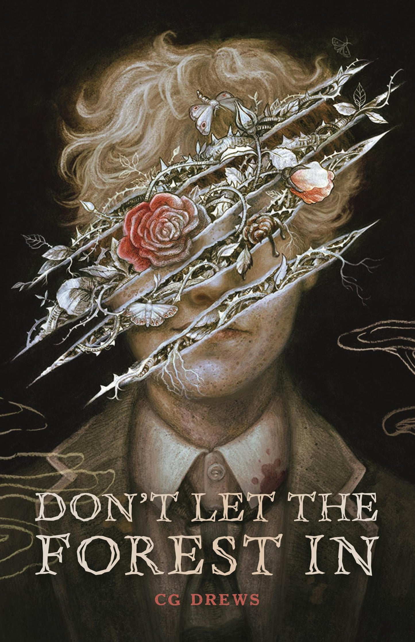Don't Let the Forest in by C.G. Drews HC