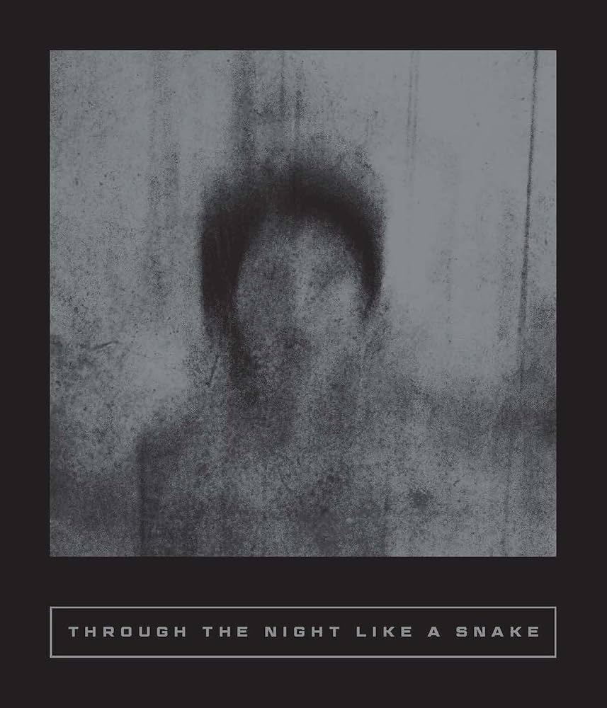 Through the Night Like a Snake: Latin American Horror Stories edited by Sarah Coolidge PB