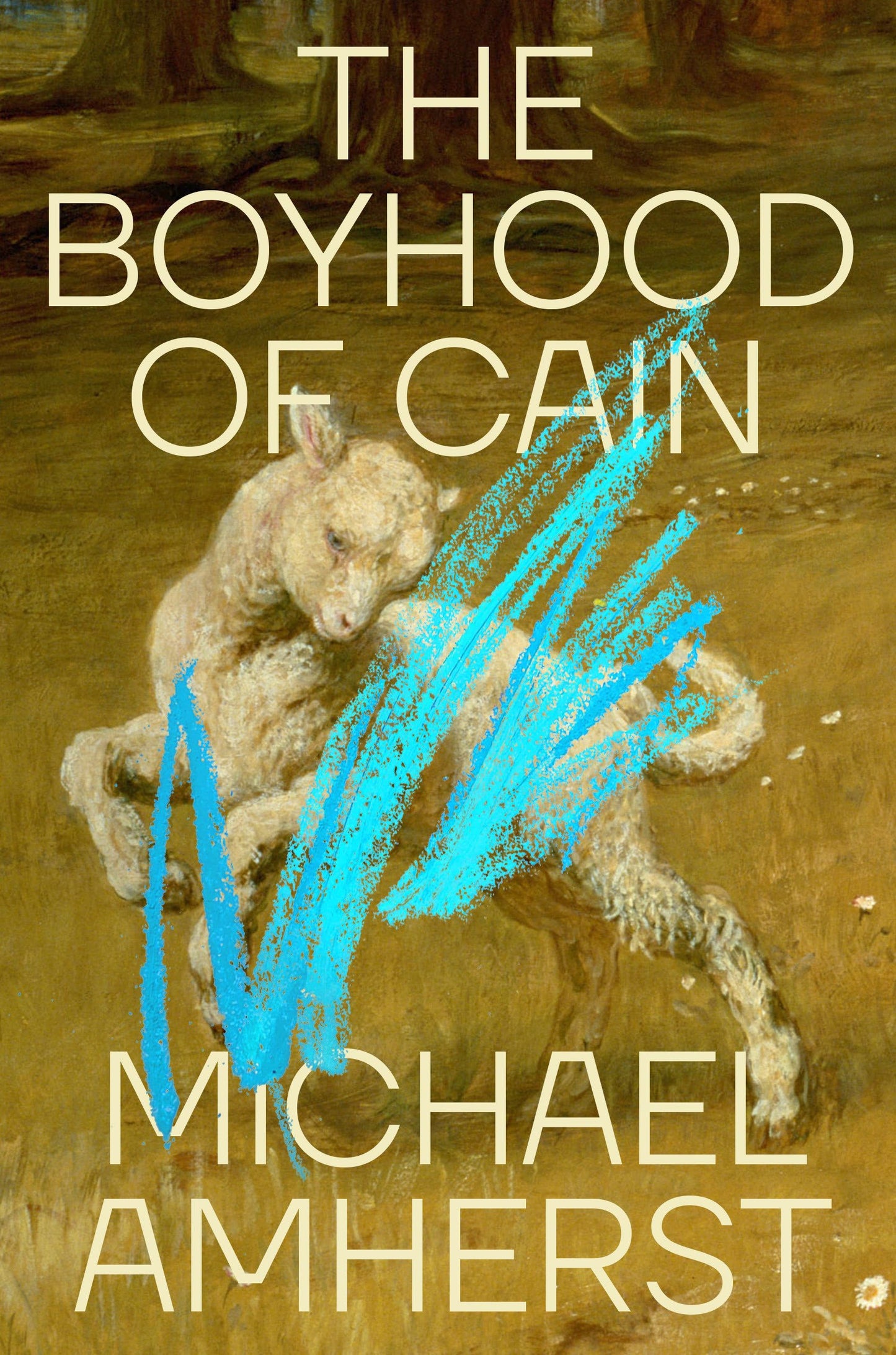 The Boyhood of Cain by Michael Amherst HC