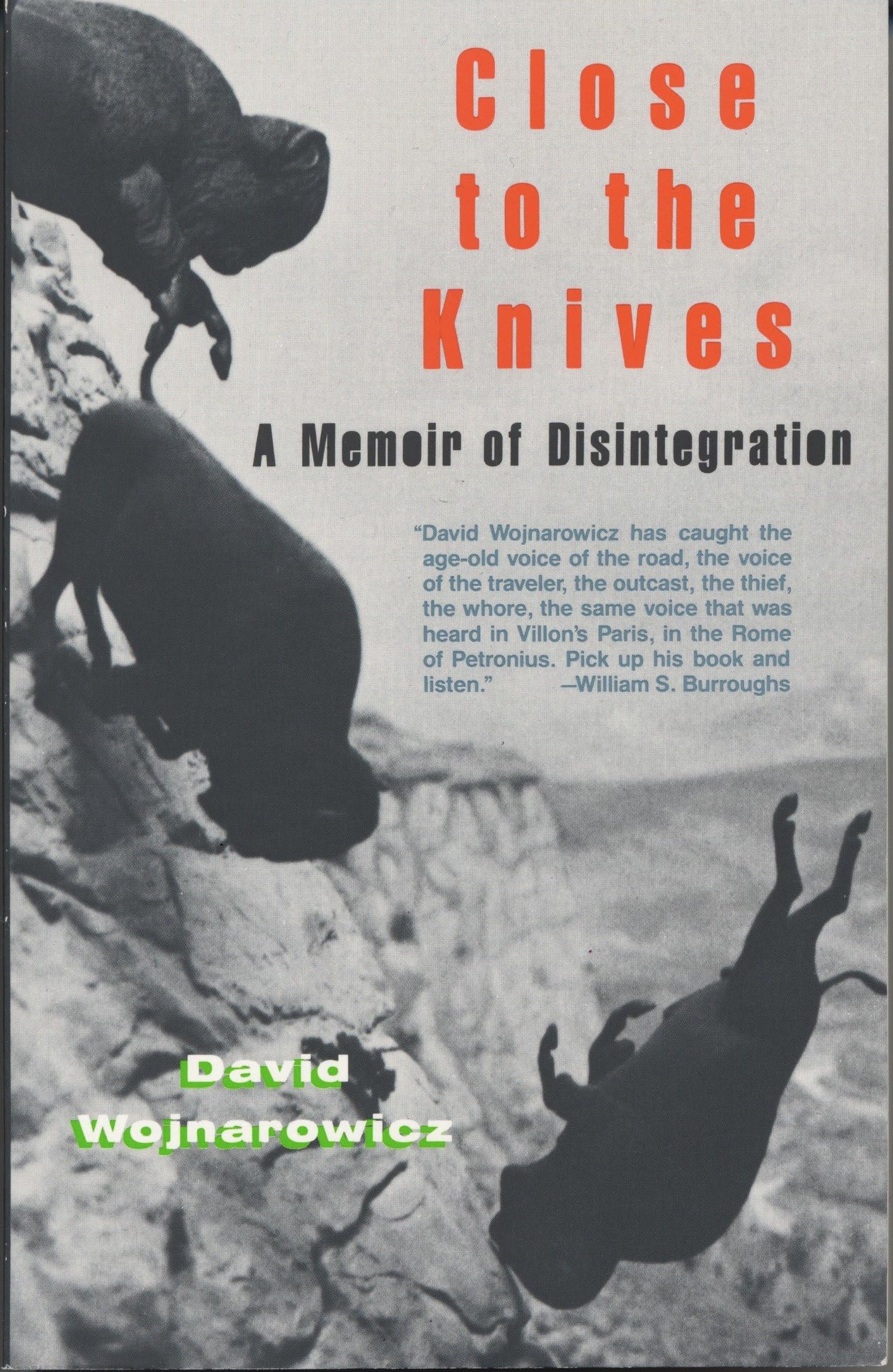 Close to the Knives: A Memoir of Disintegration by David Wojnarowicz PB
