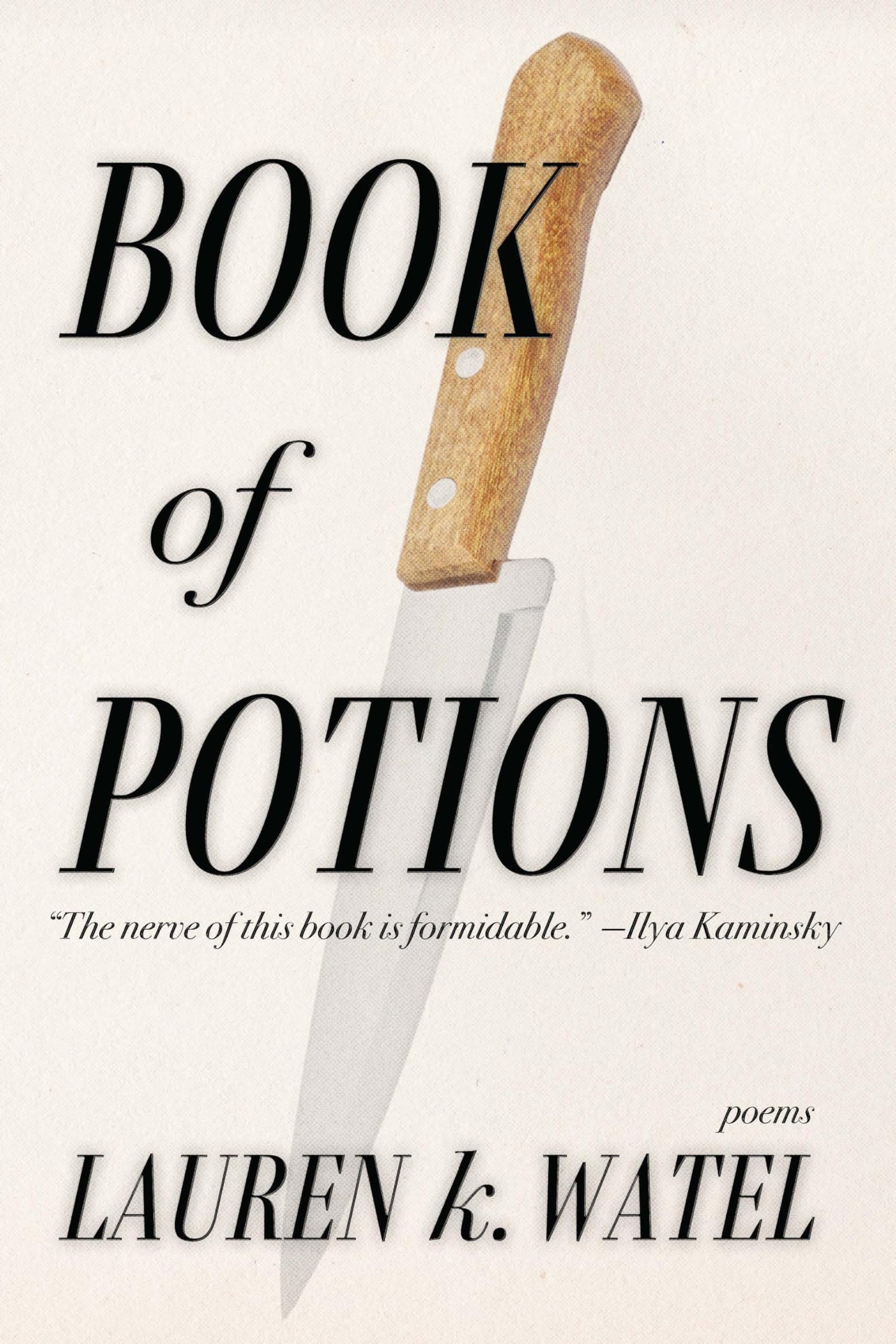 Book of Potions by Lauren K. Watel PB