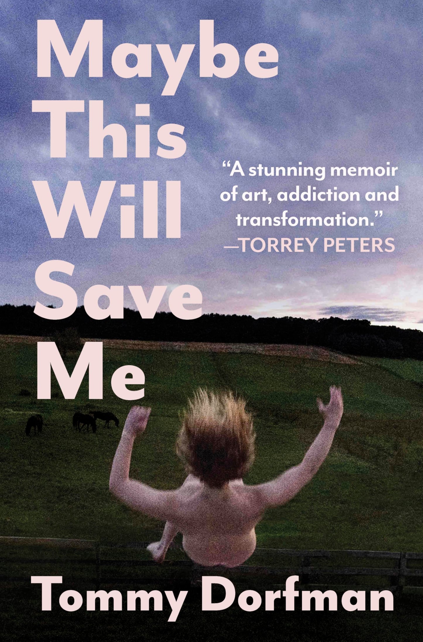 Maybe This Will Save Me: A Memoir of Art, Addiction and Transformation by Tommy Dorfman HC
