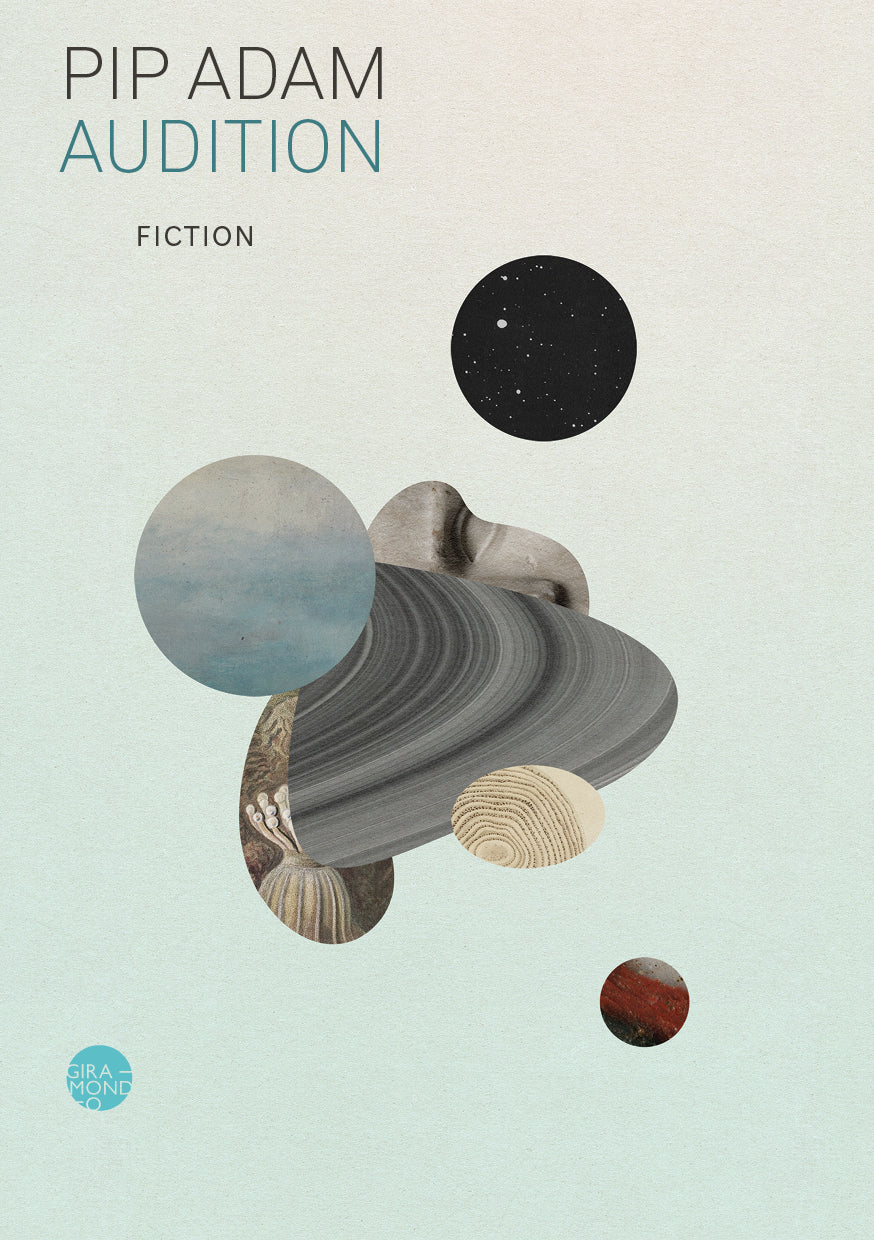 Audition by Pip Adam PB