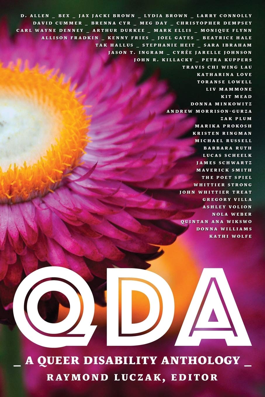 QDA: A Queer Disability Anthology edited by Raymond Luczak PB