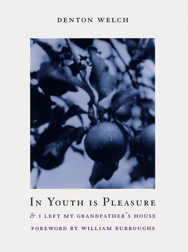In Youth Is Pleasure by Denton Welch PB