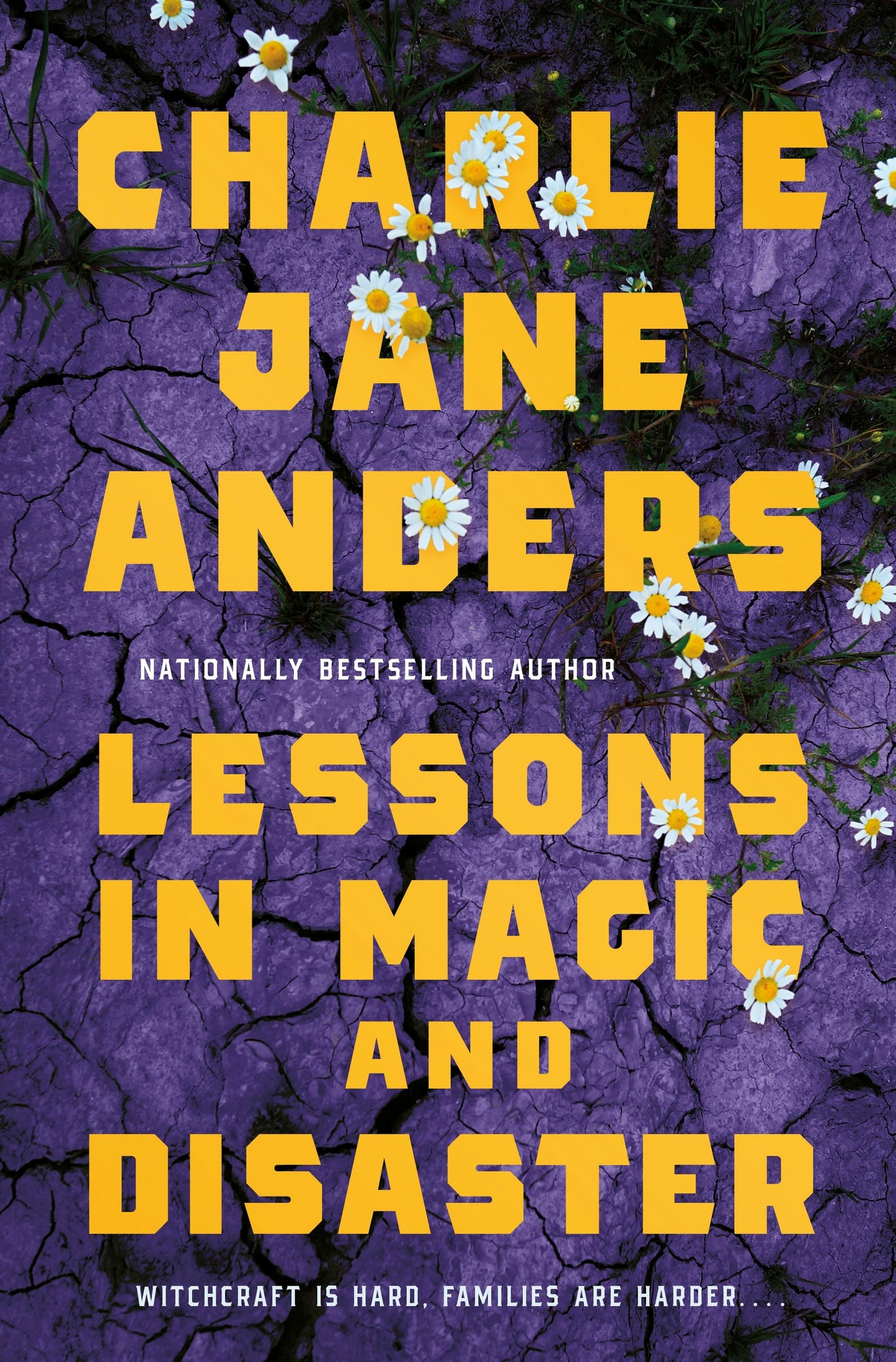 Lessons in Magic and Disaster by Charlie Jand Anders HC