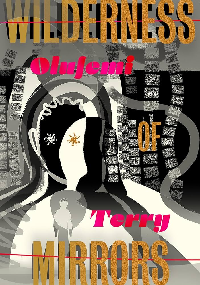 Wilderness of Mirrors by Olufemi Terry PB