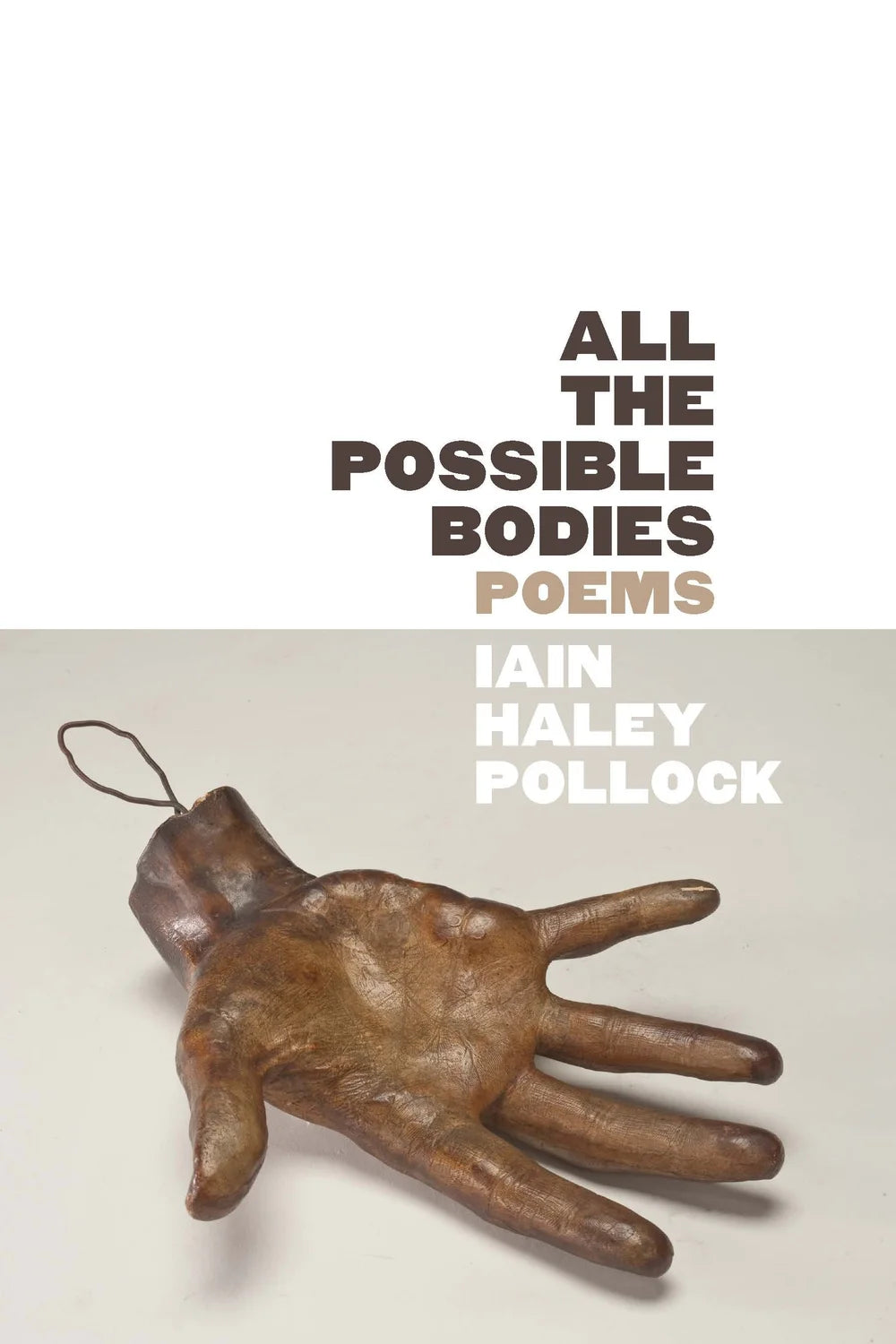 All the Possible Bodies by Iain Haley Pollock PB