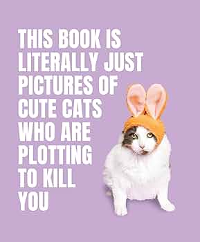 This Book Is Literally Just Pictures of Cute Cats Who Are Plotting to Kill You by Smith Street Books HC