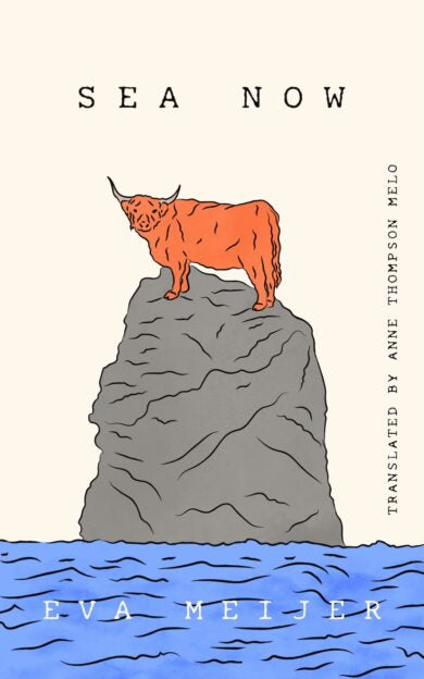 Sea Now by Eva Meijer PB