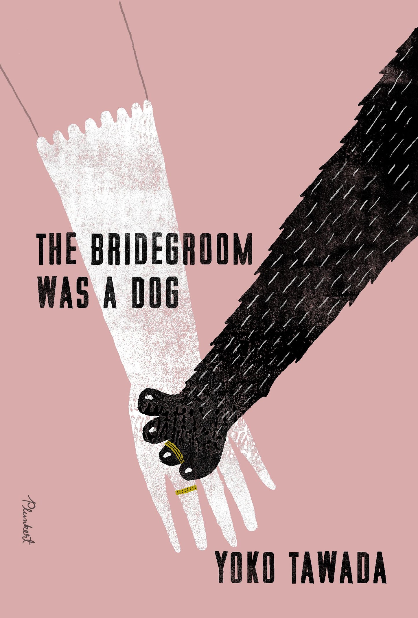 The Bridegroom Was a Dog by Yoko Tawada HC
