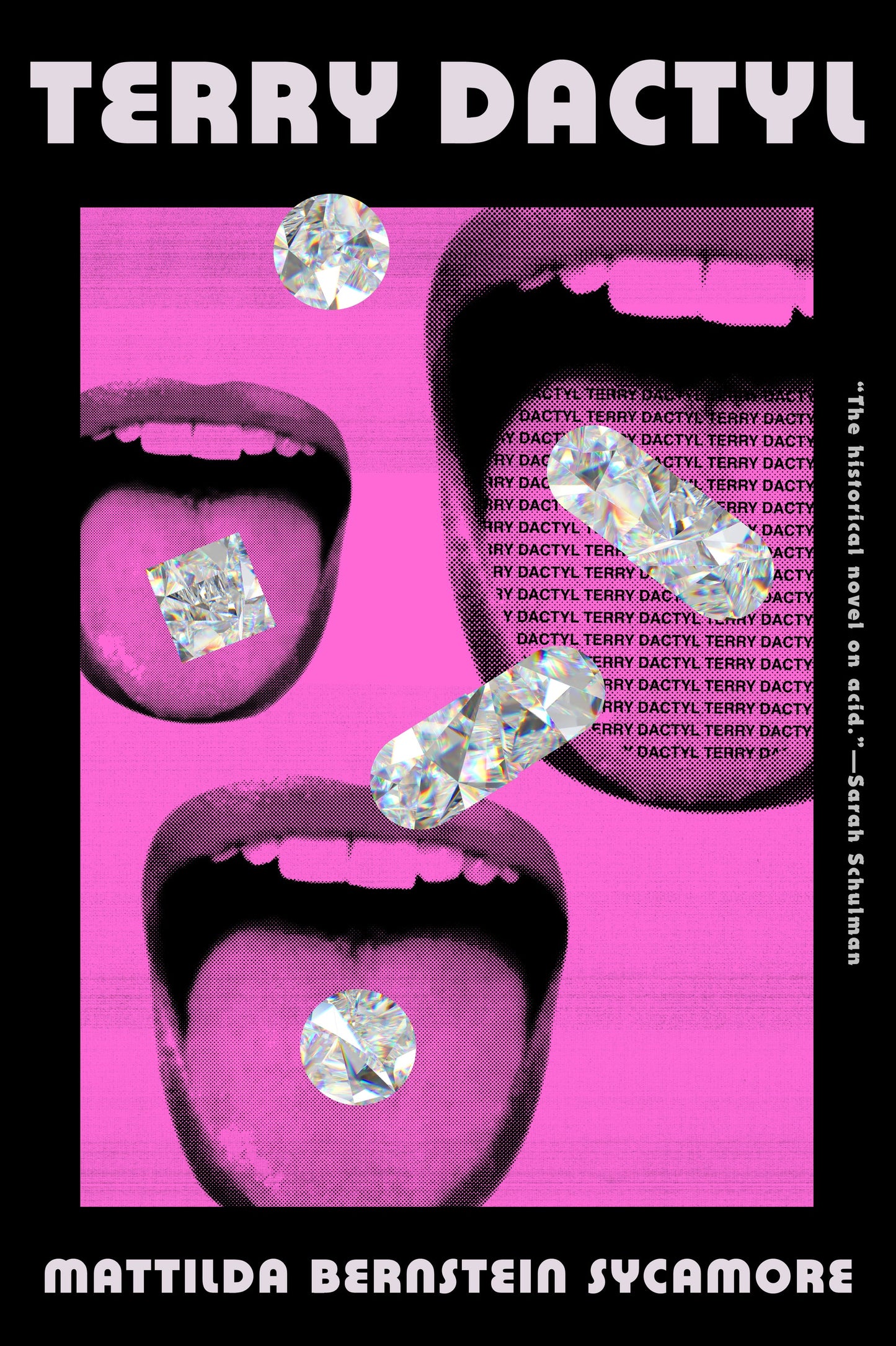 Terry Dactyl by Mattilda Bernstein Sycamore PB