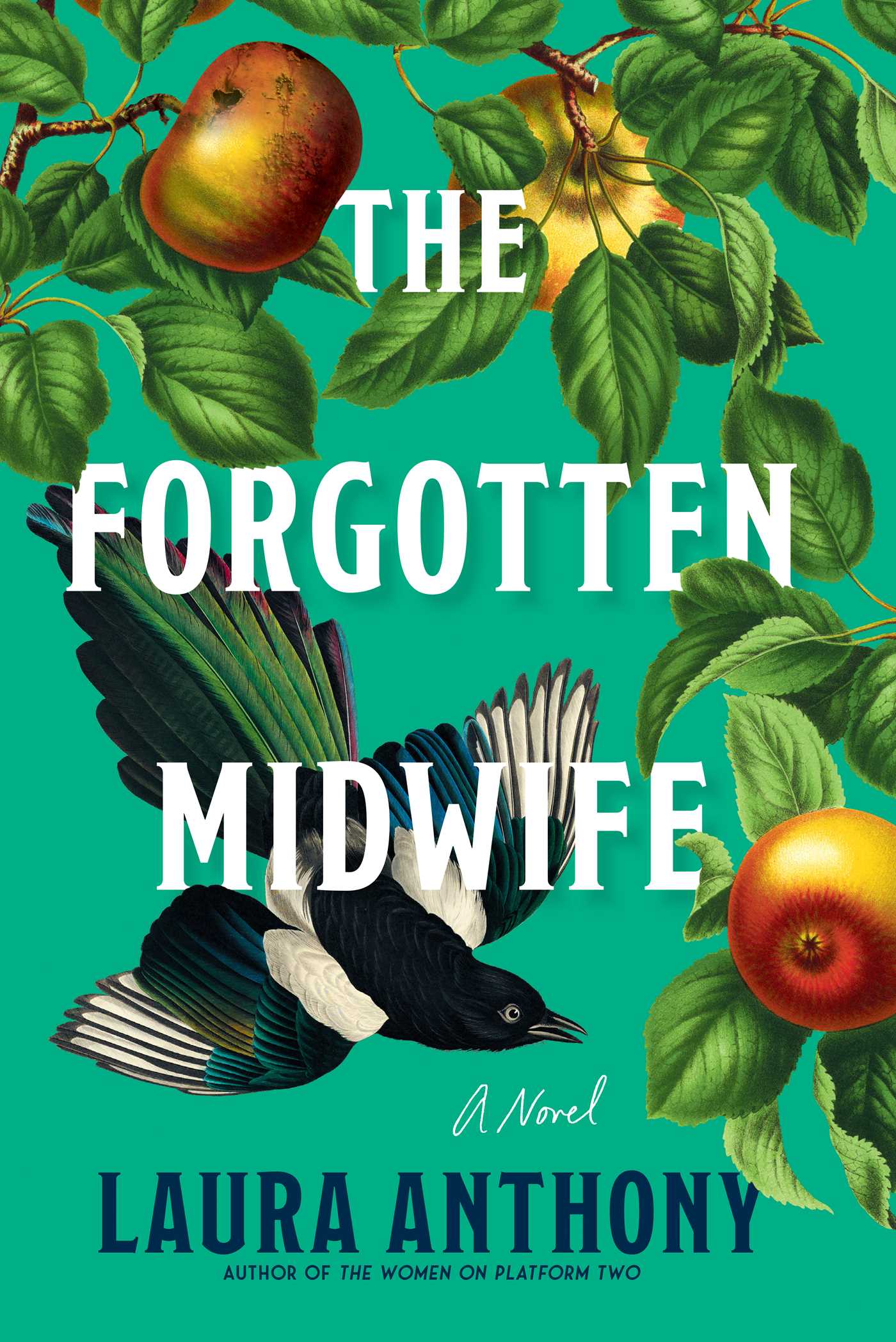 The Forgotten Midwife by Laura Anthony HC