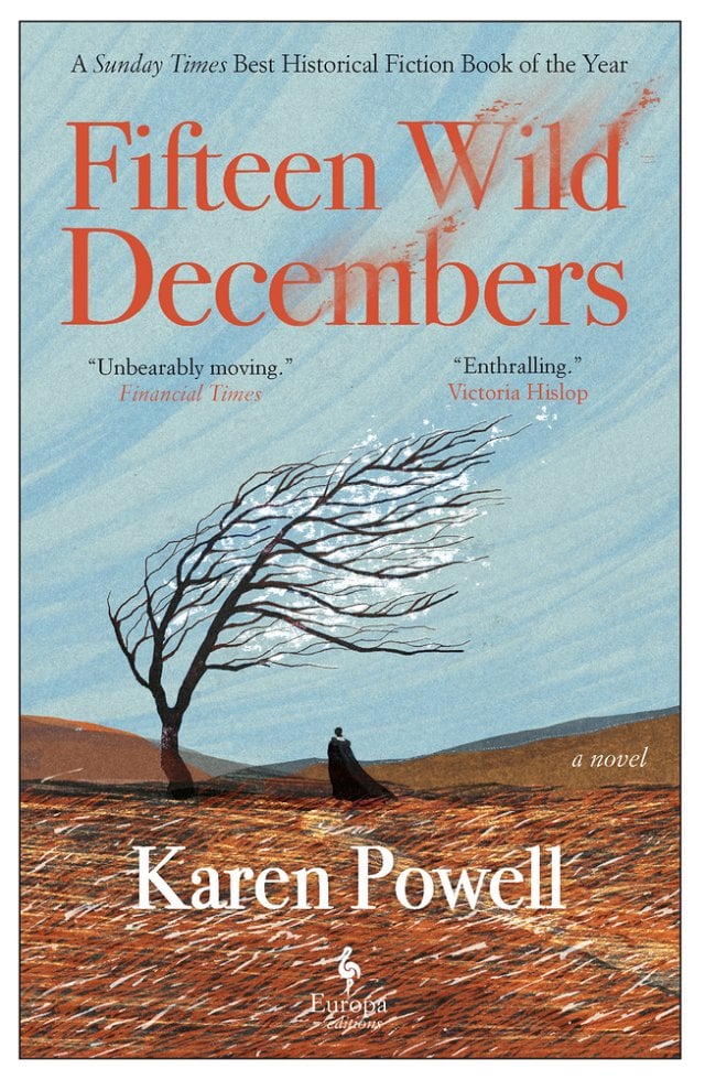 Fifteen Wild Decembers by Karen Powell PB