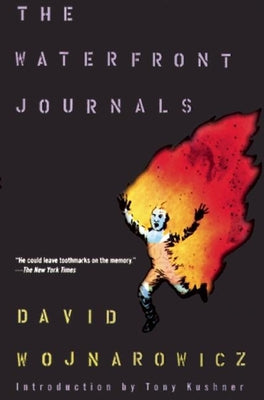 The Waterfront Journals by David Wojnarowicz PB