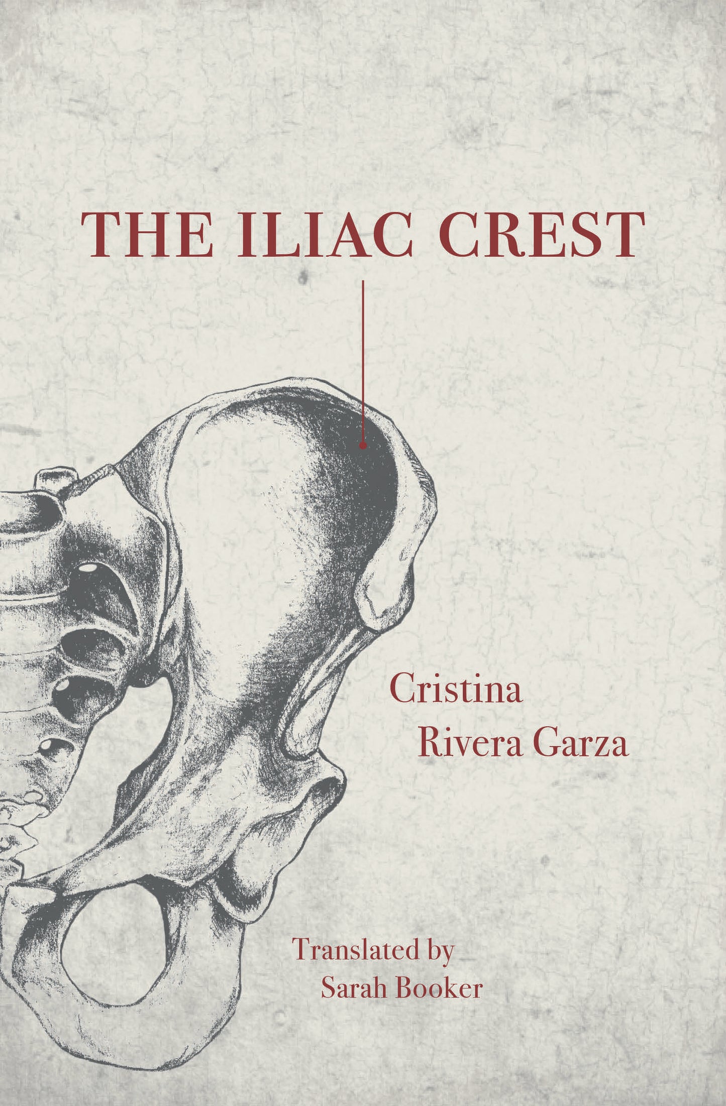 The Iliac Crest by Cristina Rivera Garza PB