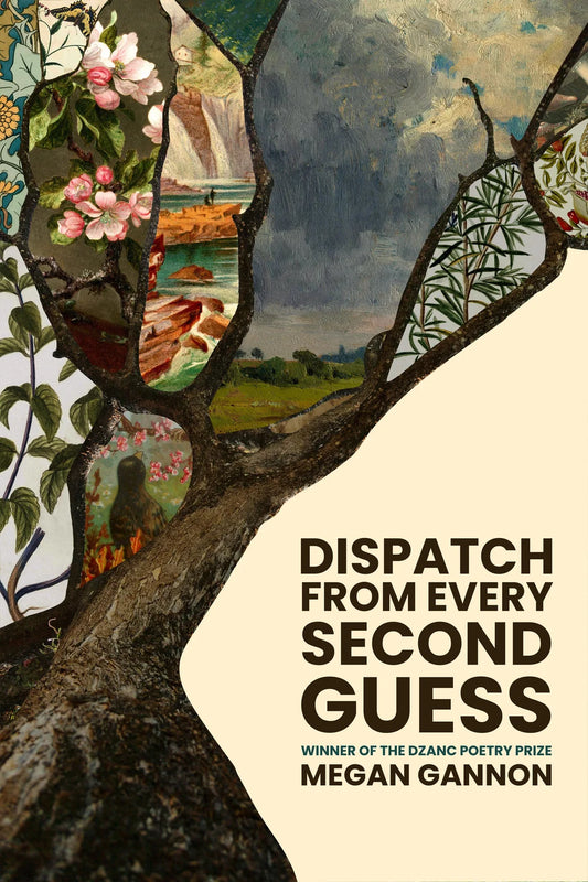 Dispatch from Every Second Guess by Megan Gannon PB