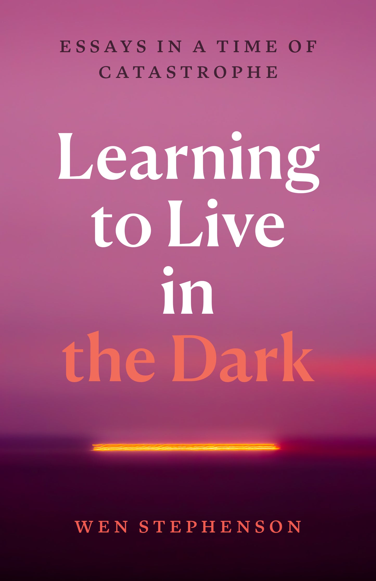 Learning to Live in the Dark: Essays in a Time of Catastrophe by Wen Stephenson PB