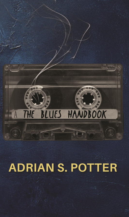 The Blues Handbook by Adrian S. Potter PB