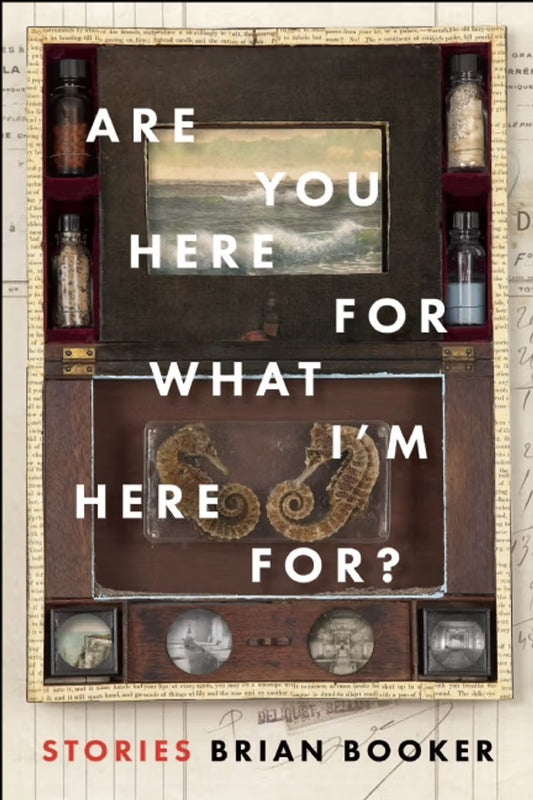 Are You Here for What I'm Here For? by Brian Booker PB