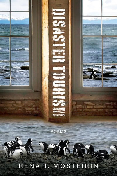 Disaster Tourism by Rena J. Mosteirin PB