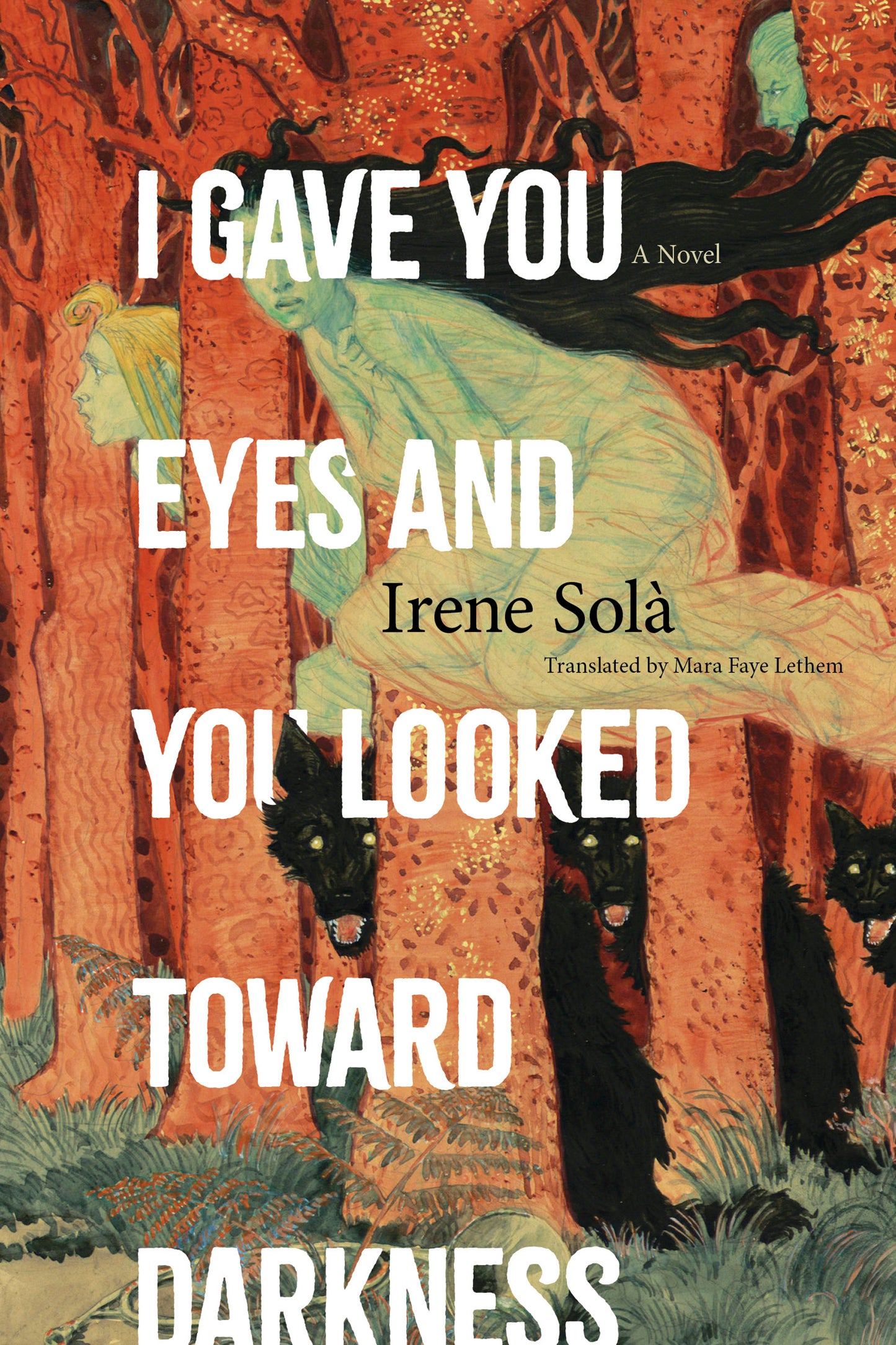 I Gave You Eyes and You Looked Toward Darkness by Irene Solà PB