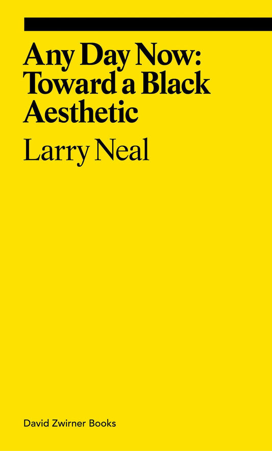 Any Day Now: Toward a Black Aesthetic by Larry Neal PB