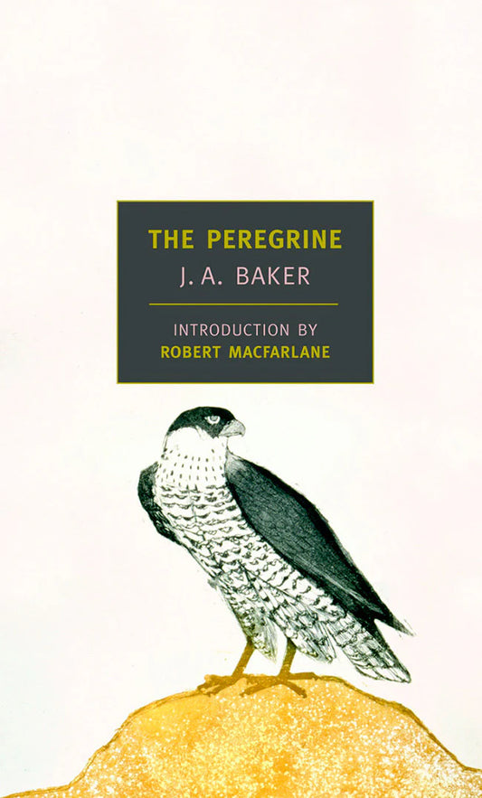 The Peregrine by J.A. Baker PB