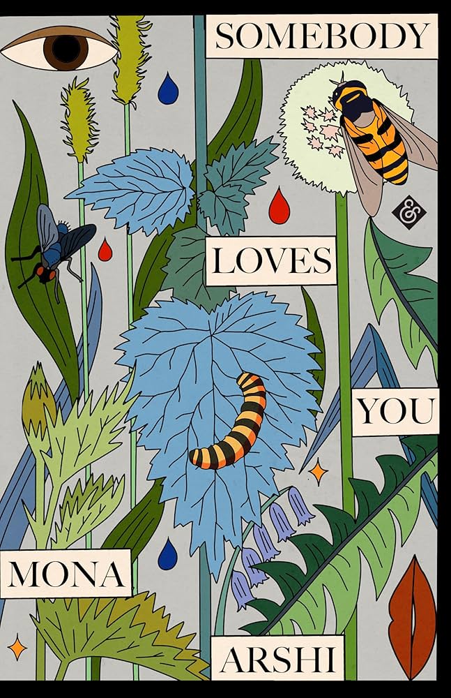 Somebody Loves You by Mona Arshi PB