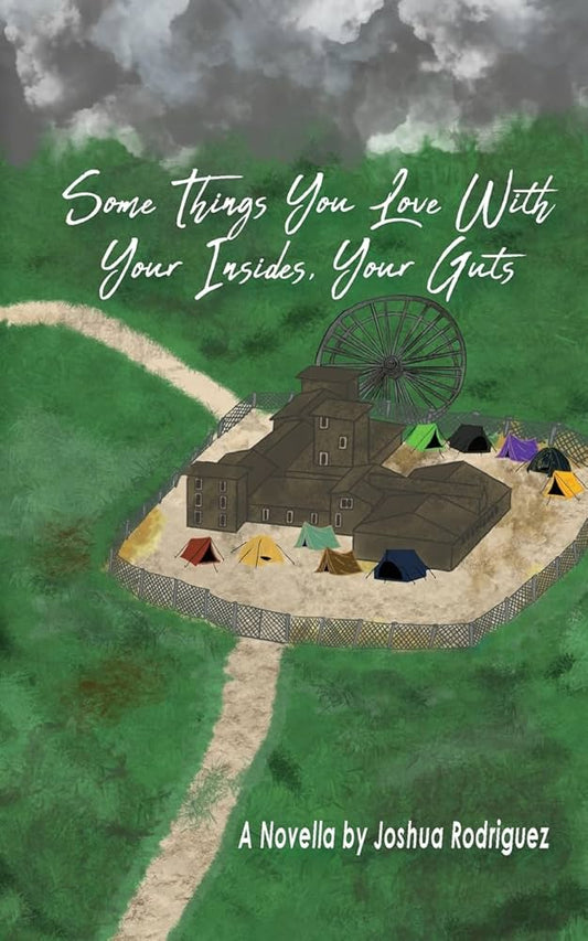 Some Things You Love With Your Insides, Your Guts by Joshua Rodriguez PB