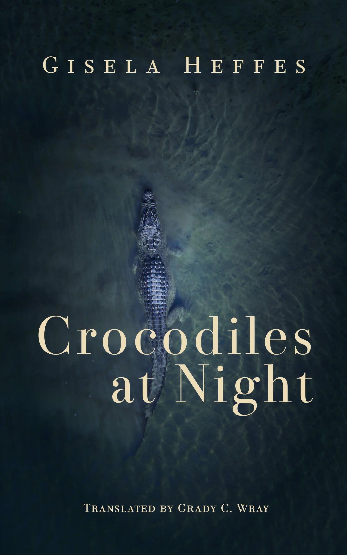 Crocodiles at Night by Gisela Heffes PB