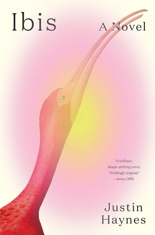 Ibis by Justin Haynes HC