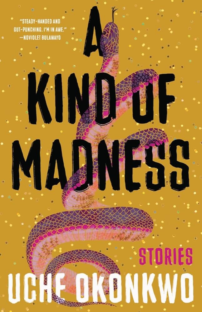 A Kind of Madness by Uche Okonkwo PB