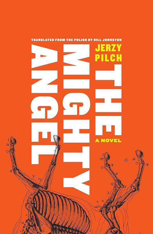 The Mighty Angel by Jerzy Pilch HC