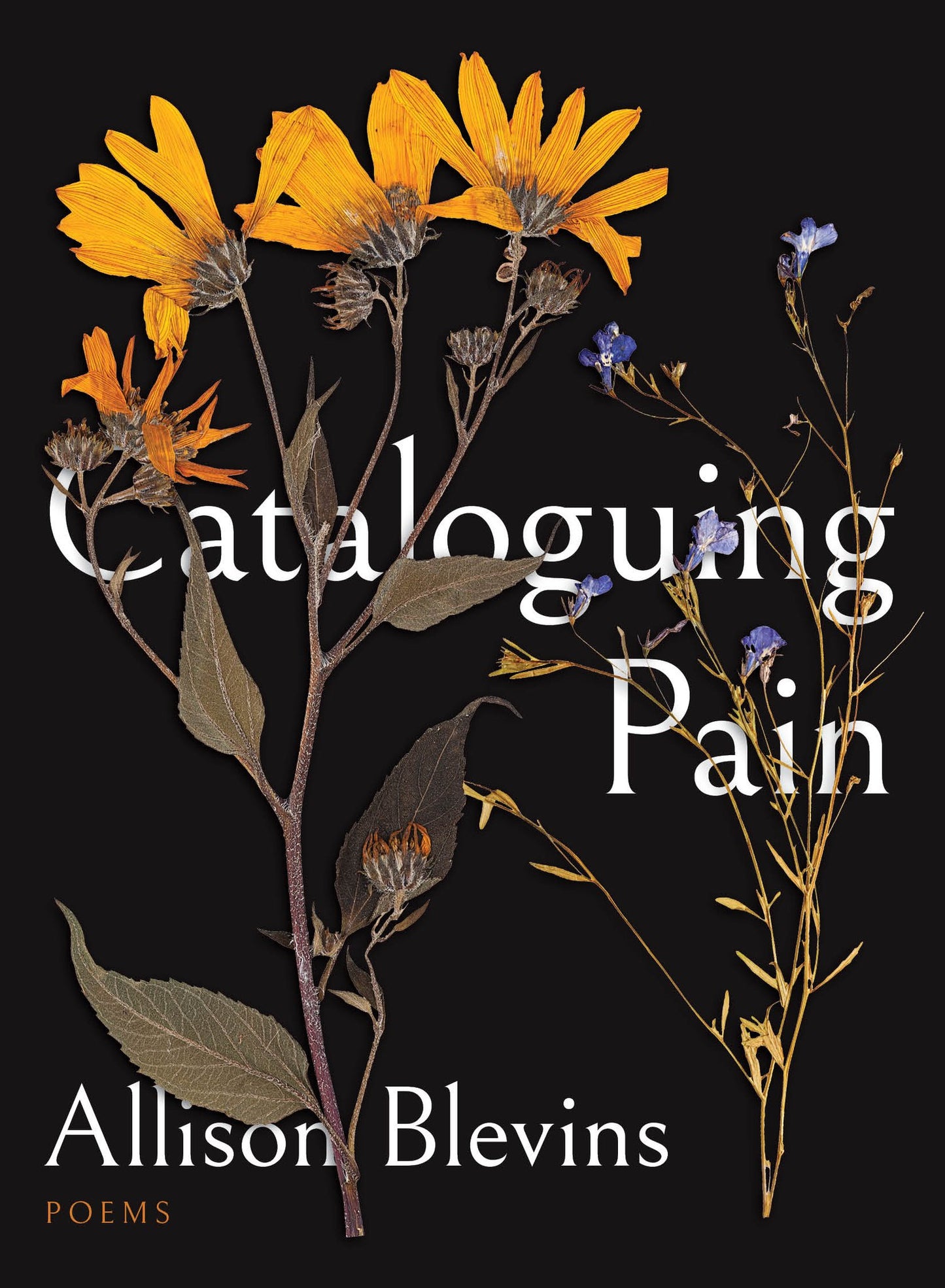 Cataloguing Pain by Allison Blevins PB