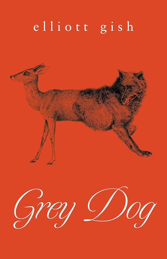 Grey Dog by Elliott Gish PB