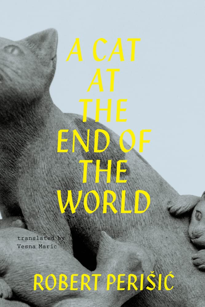 A Cat at the End of the World by Vesna Maric PB