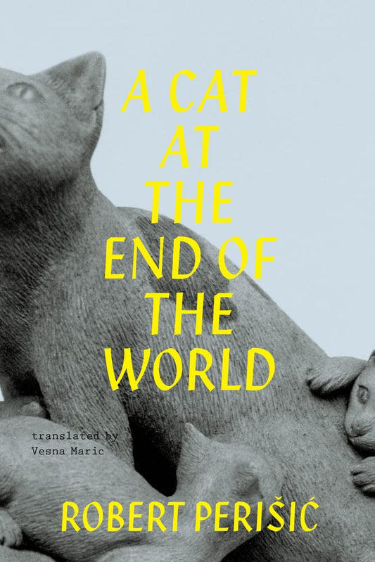 A Cat at the End of the World by Vesna Maric PB