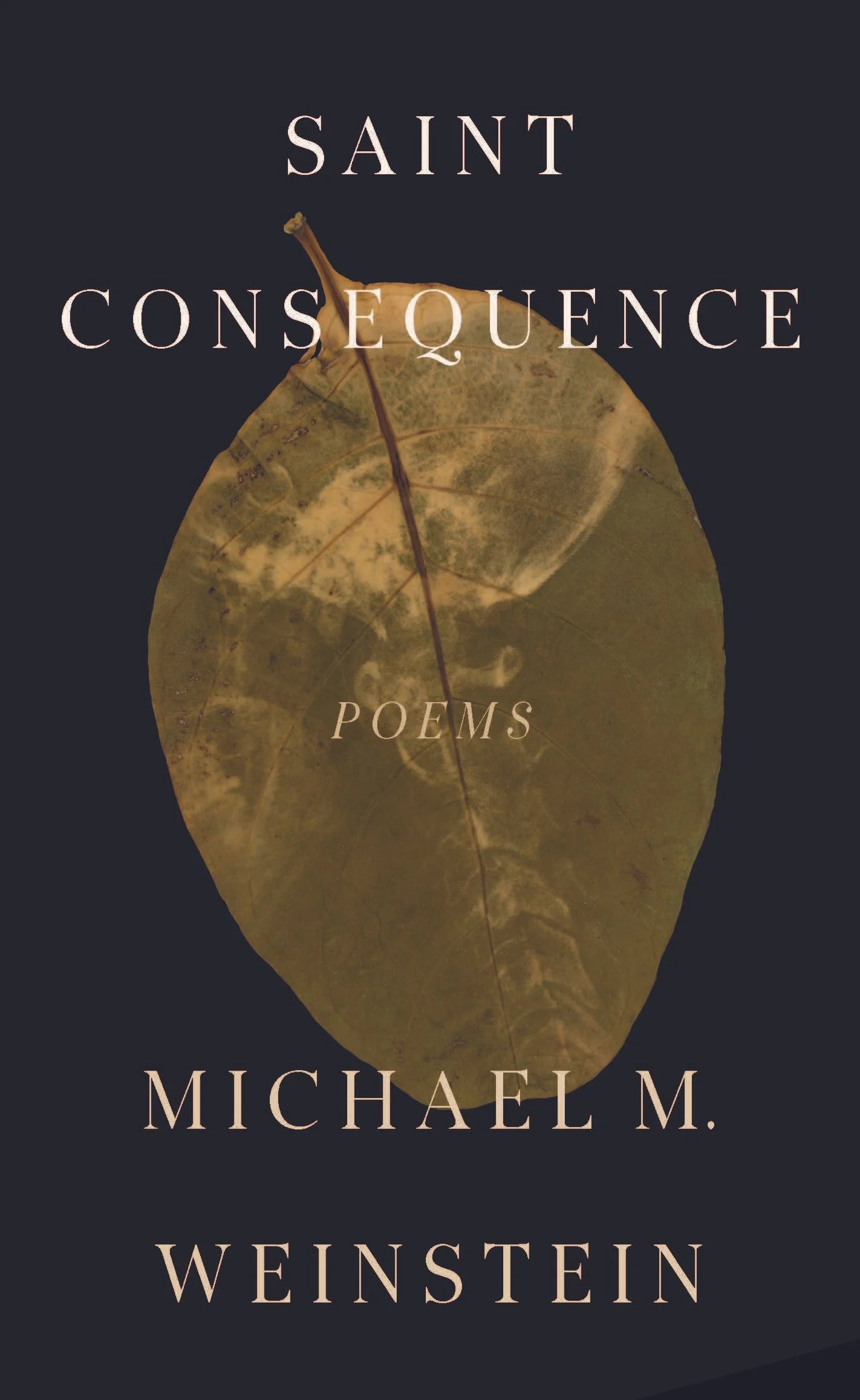 Saint Consequence by Michael M. Weinstein PB