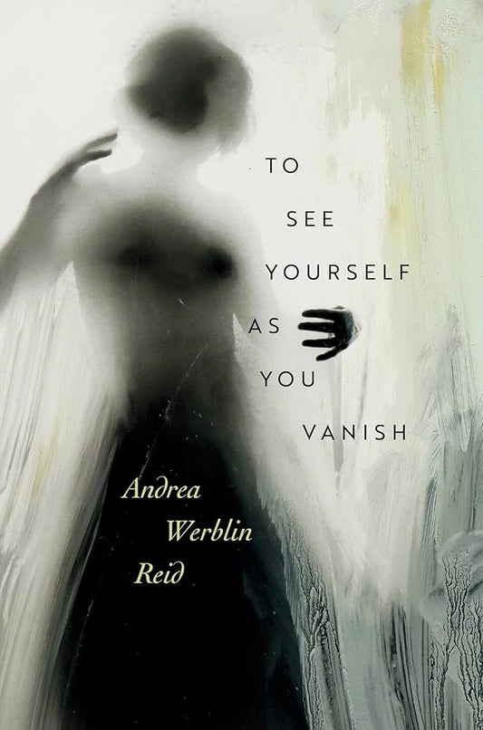 To See Yourself as You Vanish by Andrea Werblin HC