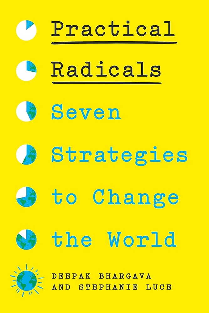 Practical Radicals: Seven Strategies to Change the World by Deepak Bhargava & Stephanie Luce PB