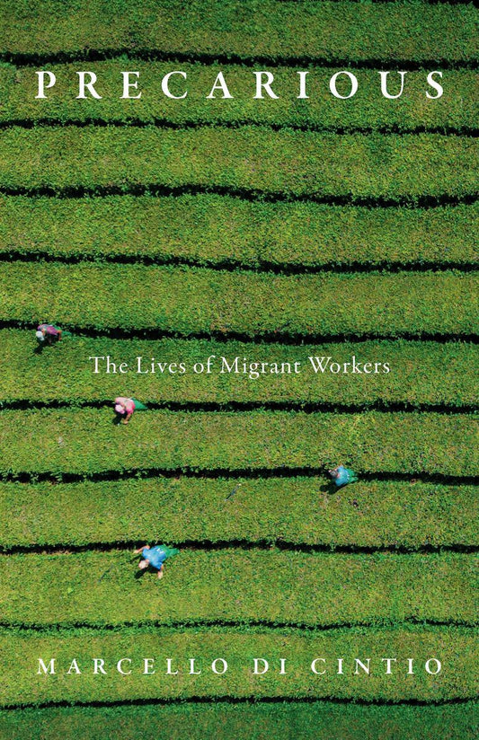 Precarious: The Lives of Migrant Workers by Marcello Di Cintio PB