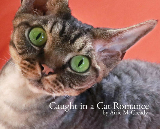 Caught in a Cat Romance by Arie McCready PB
