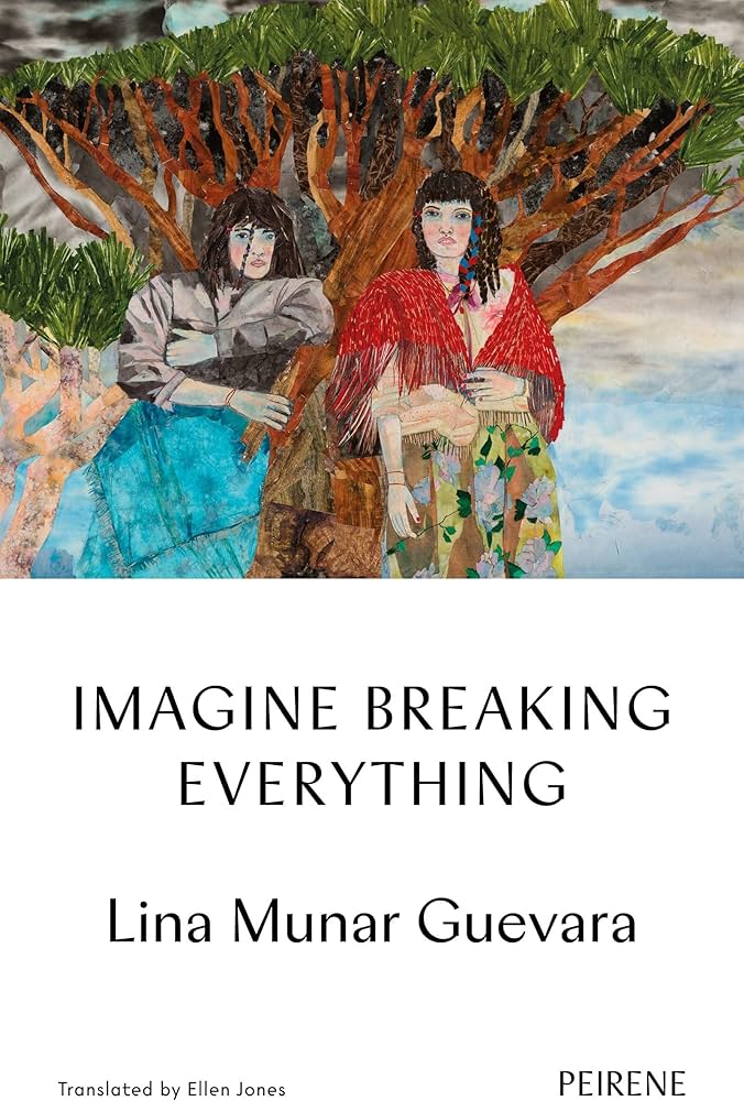 Imagine Breaking Everything by Lina Munar Guevara PB