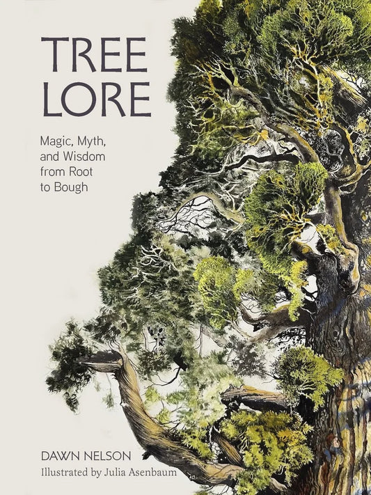 Tree Lore: Magic, Myth, and Wisdom from Root to Bough by Dawn Nelson HC