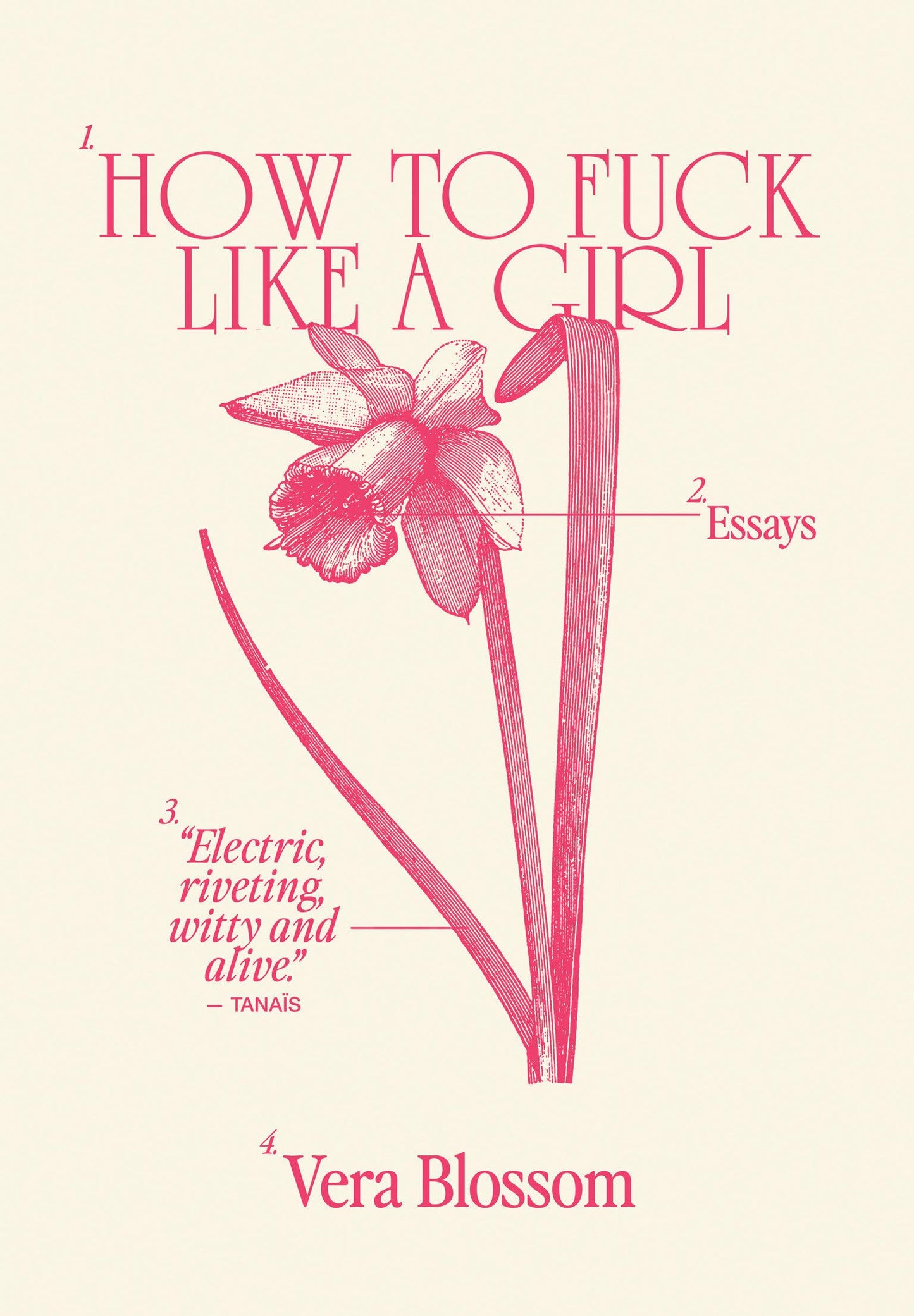 How to Fuck Like a Girl: Essays by Vera Blossom PB