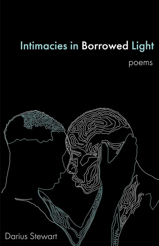 Intimacies In Borrowed Light by Darius Stewart PB