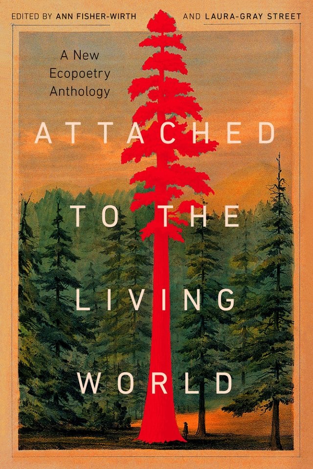 Attached to the Living World: A New Eco poetry Anthology PB